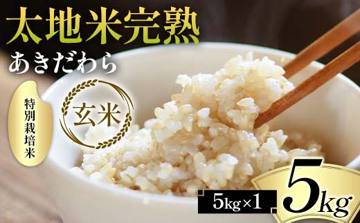 2024年産 特別栽培米 太地米完熟 【あきだわら】 玄米 5kg ブランド米 お米 玄米 人気 F7X-0309
