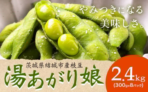 枝豆 茨城県結城市産「湯あがり娘」2.4kg（300g×8パック）（茶豆味）有限会社大嶋農園 《7月中旬-7月末頃出荷》 野菜 国産 甘み 香り 濃厚 つまみ ビールのおつまみ ビールのつまみ【配送不可地域あり】
