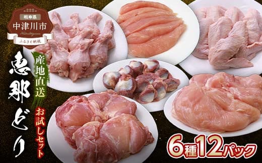 産地直送!恵那どり お試し6種 12パックセット 冷凍 F4N-0451 296990 - 岐阜県中津川市