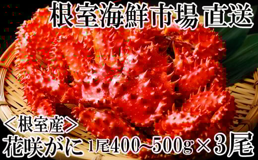 B-28121 【北海道根室産】花咲ガニ400～500g×3尾