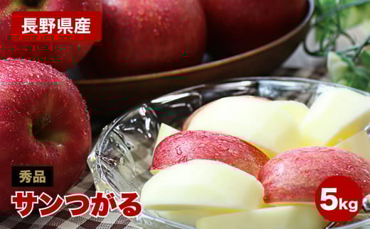 りんごの一番手! 長野県産 りんご(サンつがる)約5kg 秀品〈2025年9月上旬～9月中旬発送〉| 果物 くだもの フルーツ りんご 林檎 リンゴ 長野県 信州 南信州 飯田市 959096 - 長野県飯田市