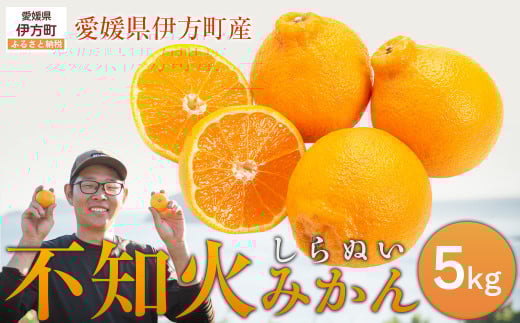 [先行予約][数量限定]不知火5kg(石崎農園)※離島への配送不可 (2026年2月10日より順次発送予定) [ ふるさと納税 人気 おすすめ ランキング 柑橘 みかん ミカン 蜜柑 デコポン 不知火 しらぬい 果物 フルーツ 愛媛県産 石崎農園 愛媛県 伊方町 送料無料 ] IK