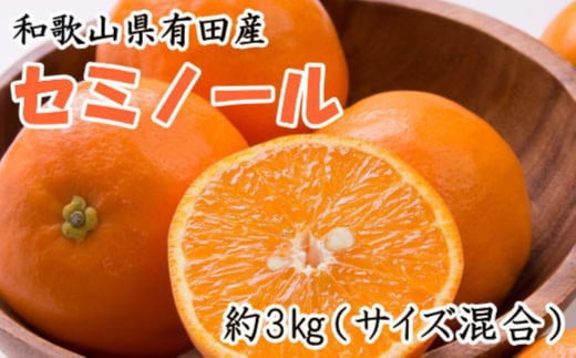 ［濃厚オレンジ］和歌山有田産セミノール約3kg(サイズ混合 秀品)★2026年4月中旬頃より順次発送［TM212］