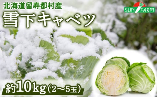 雪下キャベツ 約10kg 2～5玉 きゃべつ 越冬 オンライン 申請 ふるさと納税 北海道 留寿都 野菜 旬野菜 季節野菜 甘い みずみずしい 産地直送 新鮮 採れたて サラダ ポトフ 野菜炒め 汁物 カレー 約10キロ 留寿都村【24010】 2035346 - 北海道留寿都村