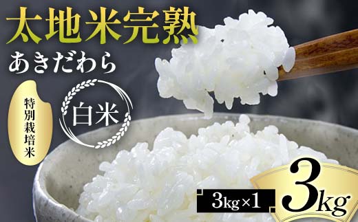 2024年産 特別栽培米 太地米完熟 【あきだわら】 白米 3kg ブランド米 お米 精米 白米 人気 F7X-0304