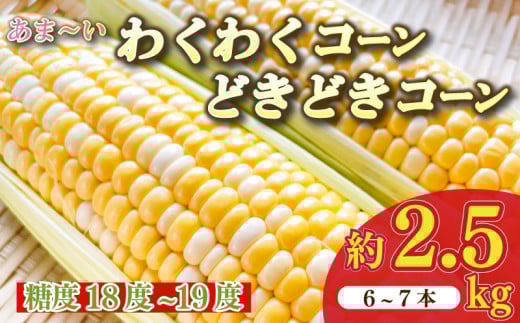 とうもろこし わくわくコーン どきどきコーン 6 ～ 7 本 約 2.5kg 糖度18 ~ 19度 甘い 美味しい おいしい 野菜 バーベキュー BBQ 産地直送 新鮮 生鮮 食品 静岡県 牧之原市 もろこしショップ ぐりぱ 2103628 - 静岡県牧之原市