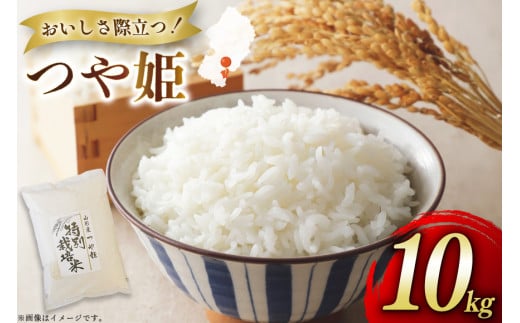米 令和7年度産 特別栽培米 つや姫 10kg [渡部ファーム 山形県 高畠町 tk06ays810031] お米 白米 精米 ごはん ご飯 ブランド米