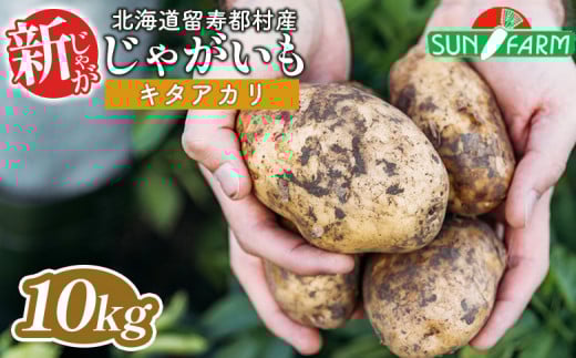新じゃがいも キタアカリ 10kg いも おいも 芋 イモ ジャガイモ ポテト きたあかり オンライン 申請 ふるさと納税 北海道 留寿都 野菜 根菜 ホクホク 産地直送 新鮮 採れたて ポテトサラダ コロッケ スープ 10キロ 留寿都村【2401301】 1390489 - 北海道留寿都村
