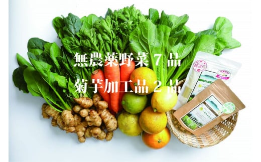 【合計9品/菊芋製品入】湘南からのおまかせ健康セット（旬の農薬不使用野菜7品＋菊芋加工品2品） 1023445 - 神奈川県藤沢市
