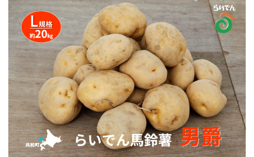2025年 8月 出荷 先行予約 らいでん 馬鈴薯 男爵 L 規格 約 20kg