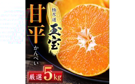 「玉宝ブランド」＜甘平＞5kg＜H64-61＞【1621001】