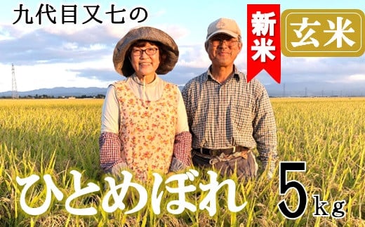 【令和7年産・玄米】九代目又七のひとめぼれ5kg　有機土壌醸成農法※9月下旬頃から順次配送