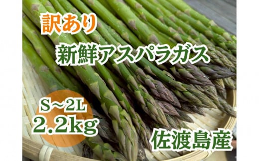 【訳あり】アスパラガス2.2kg　佐渡島産 2105524 - 新潟県佐渡市