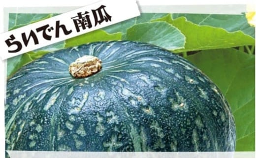 2025年 8月 出荷 先行予約 らいでん 南瓜 ダークホース 6玉 約 10kg