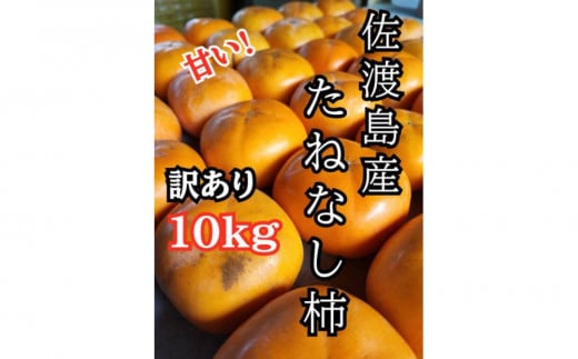 【訳あり】たねなし柿10kg（箱込み重量）佐渡島産 2105519 - 新潟県佐渡市