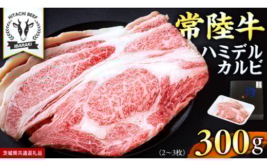 [ 常陸牛 ]A5 等級 ハミデルカルビ 300g (2〜3枚) ひたちぎゅう ブランド牛 カルビ 国産牛 黒毛和牛 和牛 国産黒毛和牛 お肉 A5ランク 高級 BBQ パーティ (茨城県共通返礼品)