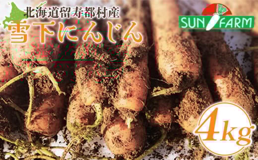 雪下にんじん 4kg 人参 にんじん ニンジン 越冬 オンライン 申請 ふるさと納税 北海道 留寿都 野菜 春 旬野菜 季節野菜 甘い フルーツ みずみずしい 産地直送 新鮮 採れたて サラダ カレー おかず 4キロ 留寿都村【2400401】