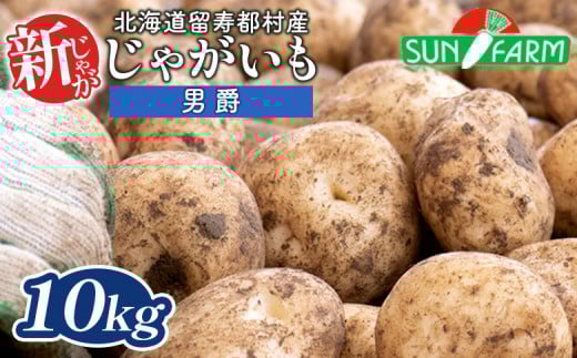 新じゃがいも 男爵 10kg いも おいも 芋 イモ ジャガイモ ポテト だんしゃく オンライン 申請 ふるさと納税 北海道 留寿都 野菜 根菜 産地直送 新鮮 採れたて ポテトサラダ コロッケ マッシュポテト 10キロ 留寿都村【2401501】 1390491 - 北海道留寿都村