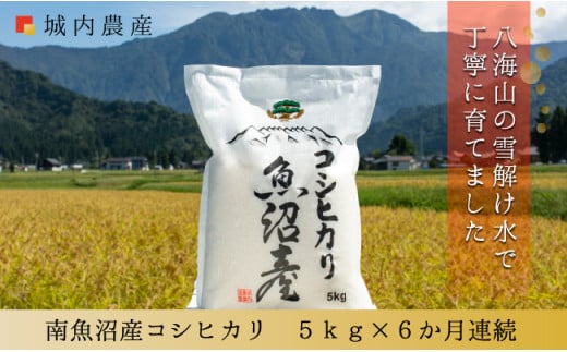 [令和7年産新米予約][お米定期便/全6回]南魚沼産コシヒカリ 白米5kg[5割減農薬栽培米] 城内農産[2025年10月上旬より順次発送予定]