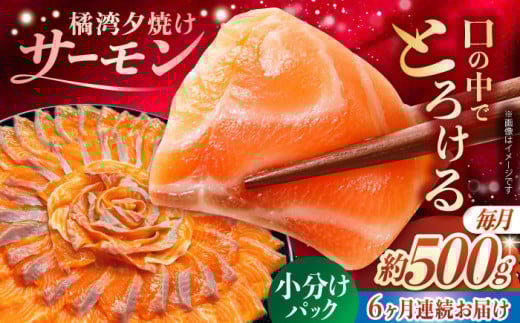 【全6回定期便】 長崎県雲仙産 橘湾夕焼けサーモン 約500g 長崎県/株式会社天洋丸 小分け 養殖 サーモン 国産 [42ALAC006] 2088396 - 長崎県長崎県庁