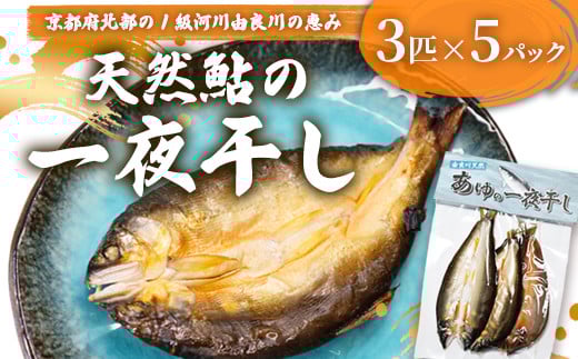 天然鮎 一夜干し 5パック（15匹） 【 由良川漁協 あゆ 鮎 アユ 魚 魚介 川魚 海鮮 一夜干し 鮎の一夜干し 干物 天然 熟成 綾部 京都 】 2104963 - 京都府綾部市