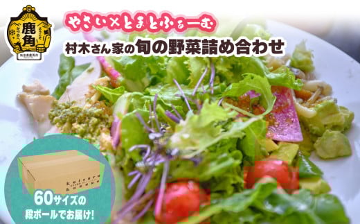 村木さん家の旬の野菜詰め合わせ 5～7種【やさい×とまとふぁーむ】●2025年7月下旬発送開始 野菜 新鮮 採れたて セット 食べ比べ 詰め合わせ サラダ 産地直送 農家直送 新鮮 旬 県産 国産 お中元 お歳暮 グルメ ギフト 故郷 秋田 あきた 鹿角市 鹿角 送料無料  966190 - 秋田県鹿角市