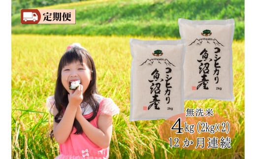 【令和7年度産新米予約】 城内農産【お米定期便/全１２回】南魚沼産コシヒカリ　無洗米４kg（２ｋｇ×２）＜5割減農薬栽培米＞【2025年10月中旬より順次発送予定】