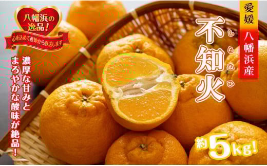 2026年2月～順次出荷　甘さと酸味の絶妙なバランス!はじける果肉「不知火」約5キロ＜D39-73＞【1620478】