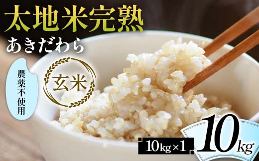 2024年産 農薬不使用 太地米完熟 【あきだわら】 玄米 10kg ブランド米 お米 玄米 人気 F7X-0326 2114481 - 福島県須賀川市
