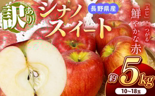南信州産 シナノスイート 訳あり 約5kg 10～18玉 ＪＡみなみ信州ＤＭセンター飯田市 | シナノスイート 林檎 りんご アップル つがる ふじ 果物 フルーツ 南信州 送料無料 ふるさと納税 長野県 飯田市