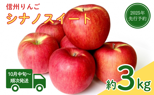 【2025年先行予約】りんご シナノスイート(長野県オリジナル品種) 約3kg 林檎 フルーツ 果物 長野県 千曲市 信州 2037791 - 長野県千曲市