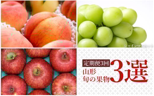 【2025年8月～12月発送】【定期便3回】山形旬の果物3選（桃/シャインマスカット/りんご）_H239(R7)