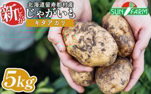 新じゃがいも キタアカリ 5kg いも おいも 芋 イモ ジャガイモ ポテト きたあかり オンライン 申請 ふるさと納税 北海道 留寿都 野菜 根菜 ホクホク 産地直送 新鮮 採れたて ポテトサラダ コロッケ スープ 5キロ 留寿都村【2401201】 1390488 - 北海道留寿都村