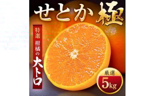 「夕やけブランド」柑橘の大トロ!＜せとか＞5kg＜G49-79＞【1621091】