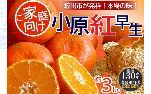 ご家庭向け!小原紅早生みかん 約3kg【坂出発祥の真っ紅なお蜜柑】 788694 - 香川県坂出市