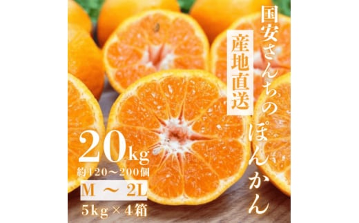 ＜南国を感じさせる独特の香り＞愛媛ポンカン 20kg＜H20-70＞【1620342】