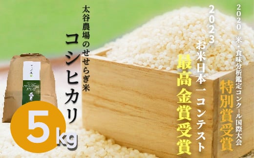《令和６年産》数量限定！太谷農場のせせらぎ米 コシヒカリ10kg 白米 /長野県白馬村　精米後発送　こしひかり 白米 コメ こめ ご飯 ごはん　2024年産【B0100225】
