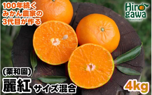 麗紅 （ れいこう ） 4kg / オレンジ 甘い 和歌山 有田 柑橘 ※2月中旬〜3月下旬に順次発送 【krw012-r-4】 652811 - 和歌山県広川町