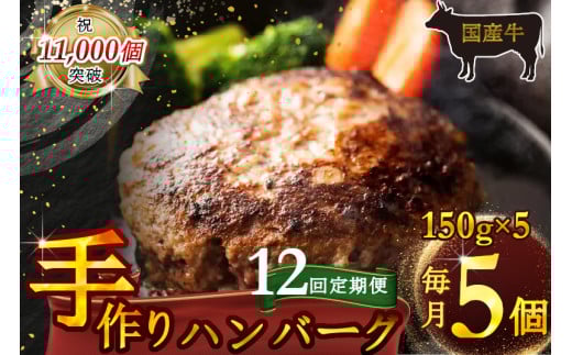 （定期便）【全12回】（冷凍）国産牛肉100％食べ応え満点 手作り・手ごね ハンバーグ 750g ／ 歩商事 定期便 牛肉 手作り 手ごね ハンバーグ 奈良県 田原本町