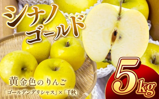 南信州産 りんご シナノゴールド 約5kg 【2025年10月より発送】 | りんご リンゴ 林檎 シナノゴールド 果物 くだもの フルーツ 新鮮 長野県 信州 南信州 飯田 959255 - 長野県飯田市