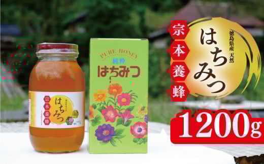 はちみつ 国産 1200g 天然 蜂蜜 純粋 蜂蜜ギフト 健康食品 美容 食品 無添加 栄養豊富 生はちみつ ハチミツ ギフト 贈答 人気 はちみつ お取り寄せ グルメ ヨーグルト パン スイーツ 徳島県 吉野川市 581399 - 徳島県吉野川市