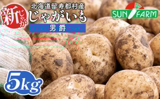 新じゃがいも 男爵 5kg いも おいも 芋 イモ ジャガイモ ポテト だんしゃく オンライン 申請 ふるさと納税 北海道 留寿都 野菜 根菜 産地直送 新鮮 採れたて ポテトサラダ コロッケ マッシュポテト 5キロ 留寿都村【2401401】