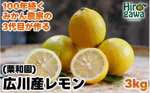 レモン 3kg 国産 / 和歌山 柑橘 ※2月上旬〜3月中旬に順次発送 【krw040-r-3】 652810 - 和歌山県広川町