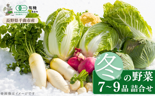 信州ありさんファーム 旬の野菜 7~9品 冬版 [有機JAS認証] 冬野菜 詰め合わせ セット 有機栽培 オーガニック 信州 特産品 千曲市 長野県