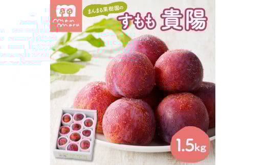 すもも（貴陽）１.５ｋｇ　0055-2512