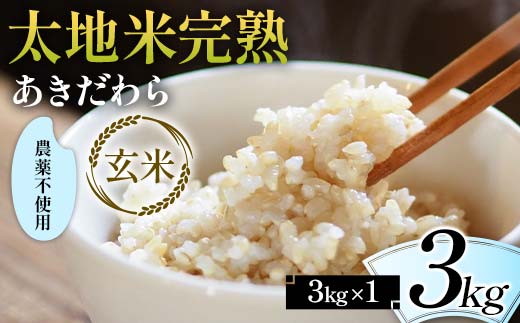 2024年産 農薬不使用 太地米完熟 【あきだわら】 玄米 3kg ブランド米 お米 玄米 人気 F7X-0324 2114479 - 福島県須賀川市