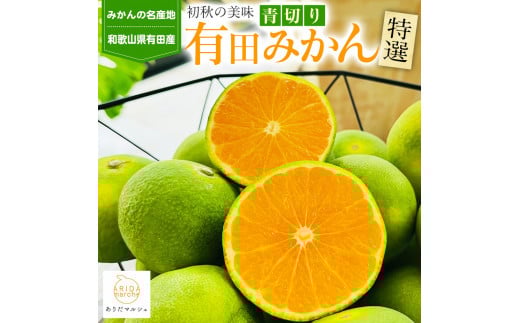特選 青切り有田みかん 約2kg ［2025年9月中旬より発送］［MS20］