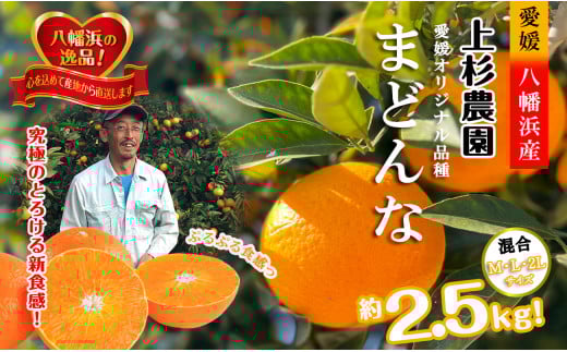 こんな柑橘はじめて!!上杉農園のぷるぷる新食感!!「まどんな」約2.5kg＜D39-67＞【1619931】
