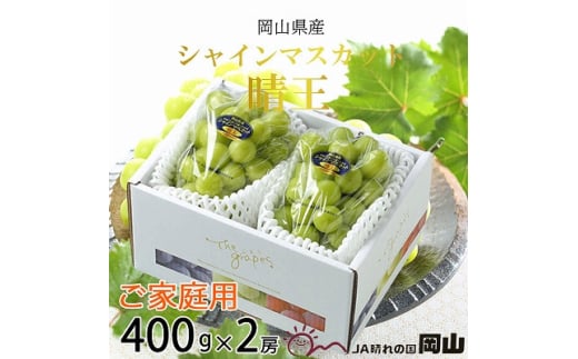 【2025年8月下旬より発送】ご家庭用 岡山県産 シャインマスカット 晴王 400g×2房 ぶどう 葡萄 ブドウ フルーツ 果物