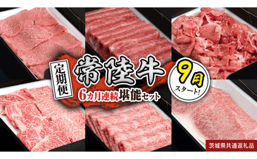 【定期便】【令和7年9月スタート】【全6回】『常陸牛』人気6か月堪能セット（6か月連続でお届け） お肉 肉 牛肉 ステーキ サーロイン 赤身 切り落とし 霜降り カルビ (茨城県共通返礼品)